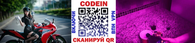 где можно купить наркотик  гидра tor  Codein напиток Lean (лин)  Будённовск 