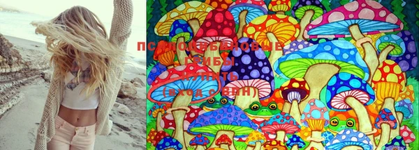 таблы Бронницы