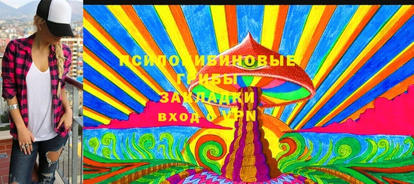 ГАЛЛЮЦИНОГЕННЫЕ ГРИБЫ Богородицк