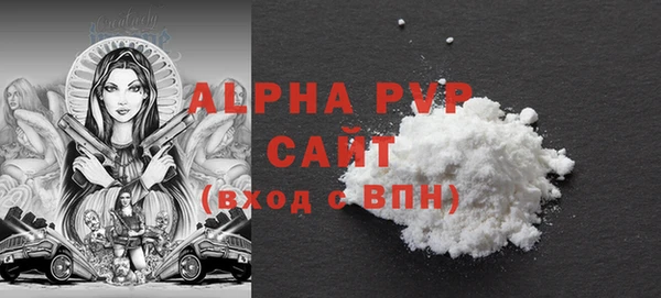 крисы Бородино
