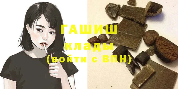 крисы Бородино